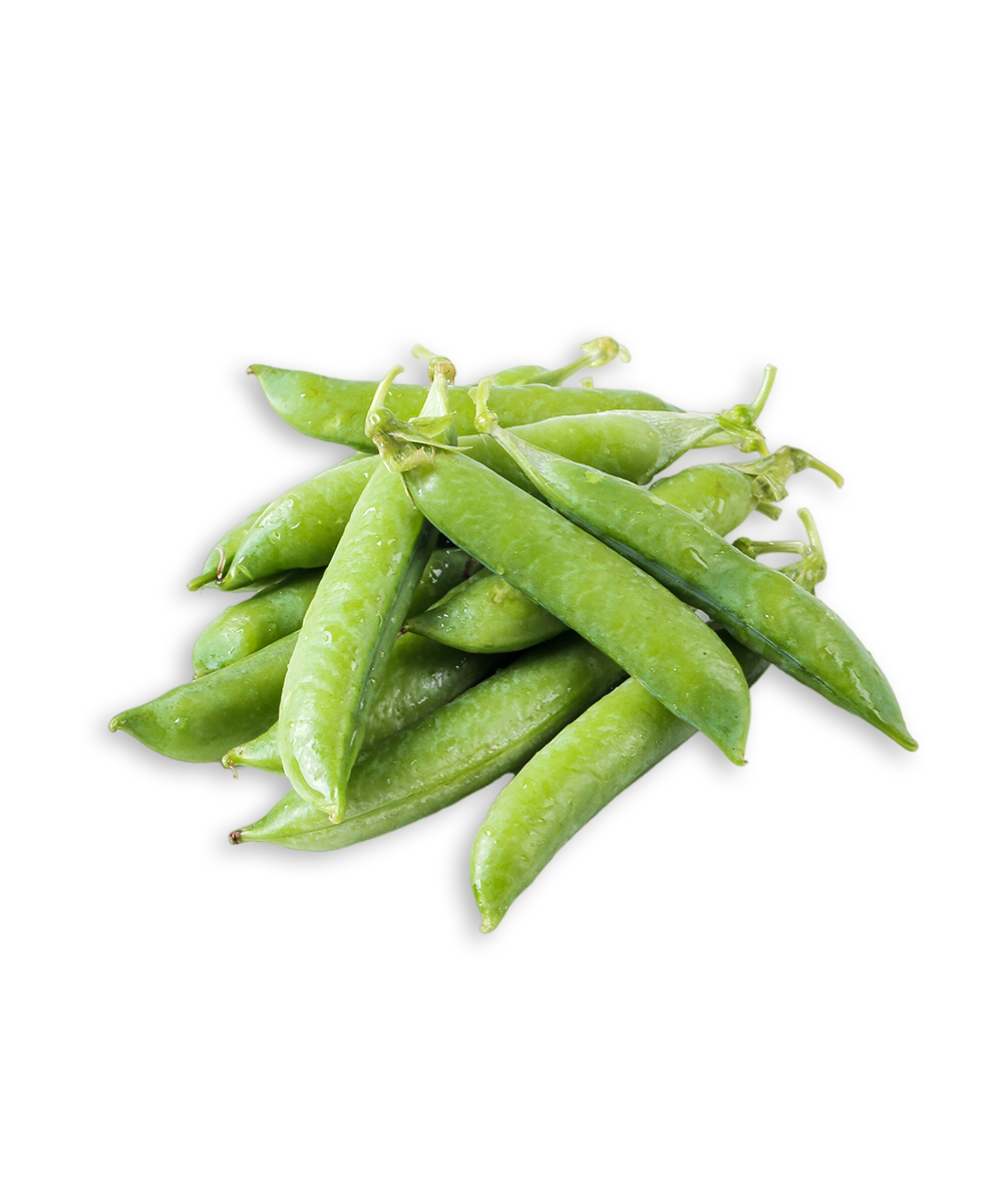 French Beans, Global Food Trader, Import Export, International Food Trade, Vida Foods